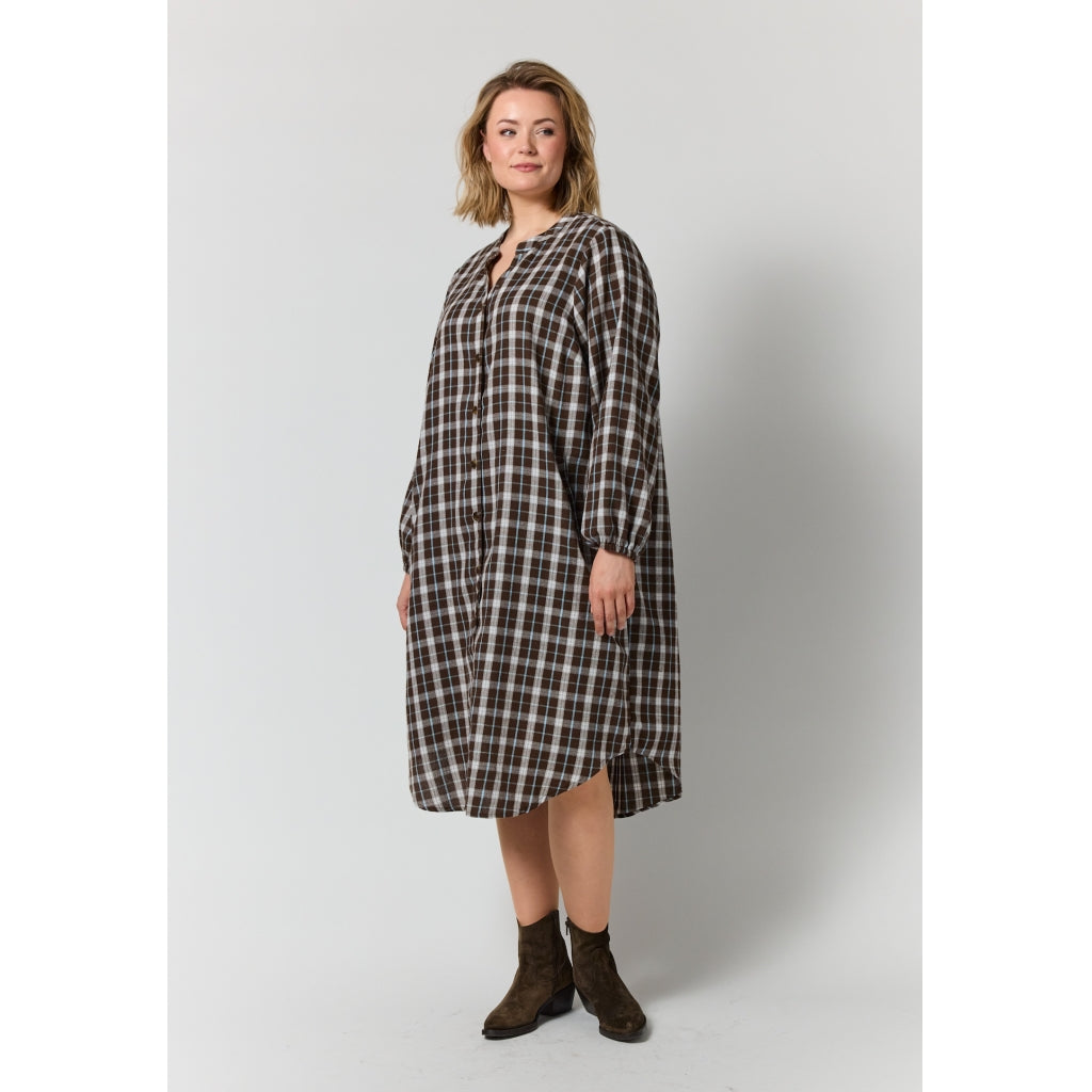 Gozzip Woman GAnja Dress Dress Brown check with light blue stripe