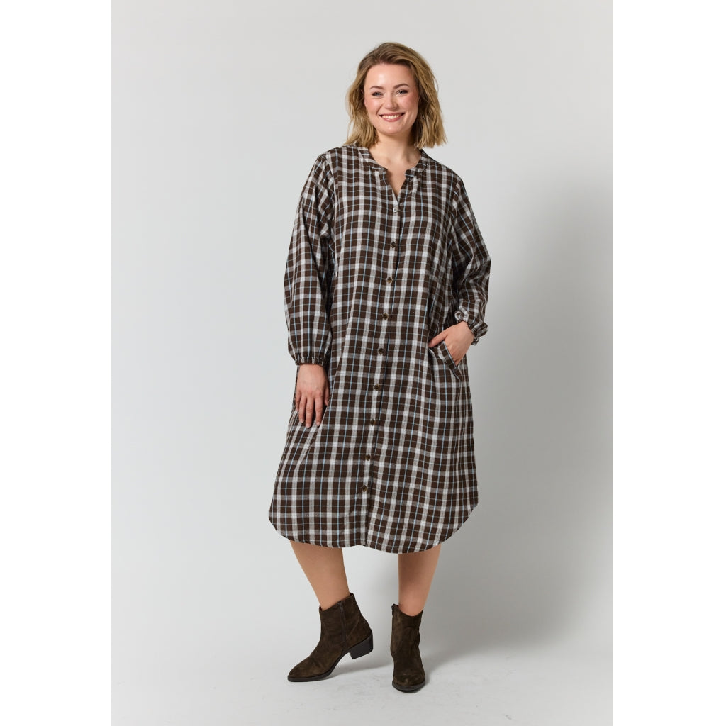 Gozzip Woman GAnja Dress Dress Brown check with light blue stripe